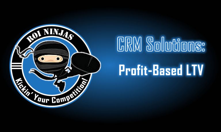 ROI Ninjas logo with ninja kicking on a dark blue gradient and neon title text: "CRM Solutions: Profit-Based LTV."
