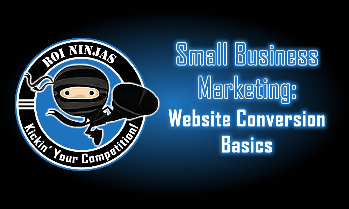 Small Business Marketing Website Conversion Basics featured image with ROI Ninjas logo and blue glowing text on black background.